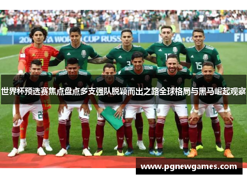 世界杯预选赛焦点盘点多支强队脱颖而出之路全球格局与黑马崛起观察