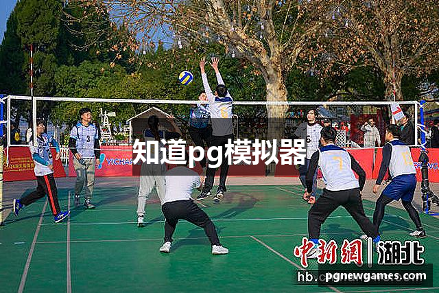 知道pg模拟器